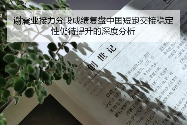 谢震业接力分段成绩复盘中国短跑交接稳定性仍待提升的深度分析